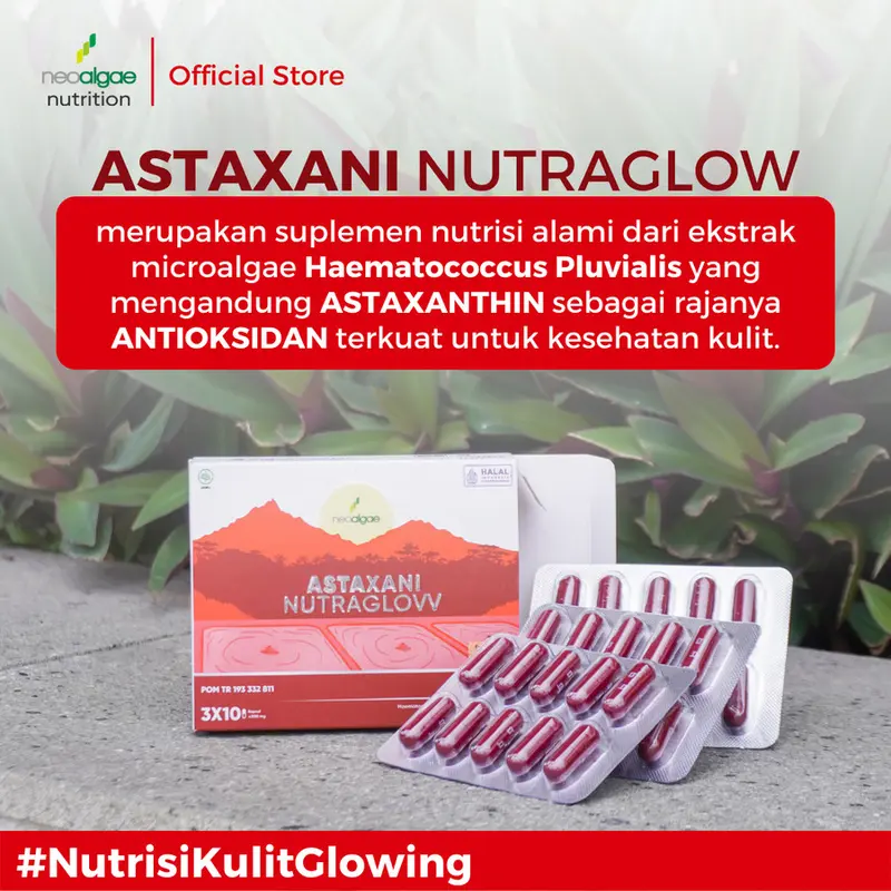Astaxani Nutraglow Suplemen Kecantikan Kulit Suplemen Astaxanthin 10mg 2