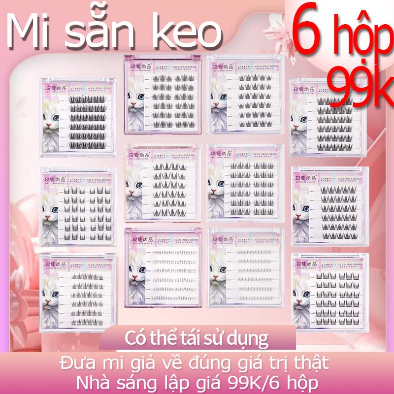 6 hop 99k Lông mi giả sẵn keo mi tự dính Mi Giả tái sử dụng Chống Nước 24H Dáng Hàn Quốc | Combo 4 Đôi Tặng Keo | Bao Bì Cao Cấp - Dành Cho Mắt Một Mí
