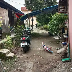 baju kucing anjing kelinci monyet lucu murah - ONEPIECE HOODIE SERIES