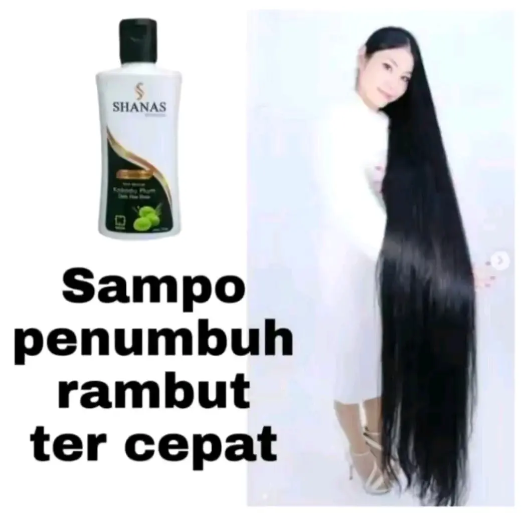 HAIR CARE!!! Shampo Shanas Wangi Penumbuh Pemanjang Rambut Cepat Anti Rontok Anti Kutu