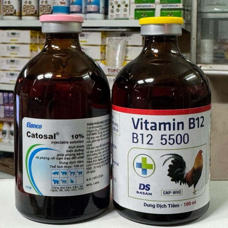 Bộ Nuôi Catosal 10% + Vitamin B12 5500 200ml. tăng bo lên nước máu sung túc sau 3 ngày dùng sản phẩm thuốc bổ dùng cho gia súc gia cầm thú cưng