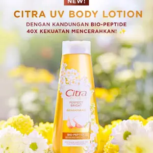 Citra Body Lotion Perfect Bright Bengkoang  210ml & 110ml