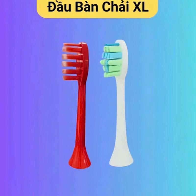 Đầu Bàn Chải Chăm Sóc Sức Khoẻ XL - Sản Phẩm Chăm Sóc Sức Khoẻ Hiệu Quả