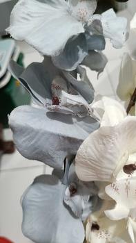 Product Review of [COD] Zeita - Anggrek 6 SIX DANCING ORCHID 65CM Tangkai Panjang from m**w 0