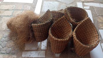 Product Review of Pot anggrek tempel dinding serabut kelapa Bunga Pvc from u**2 2