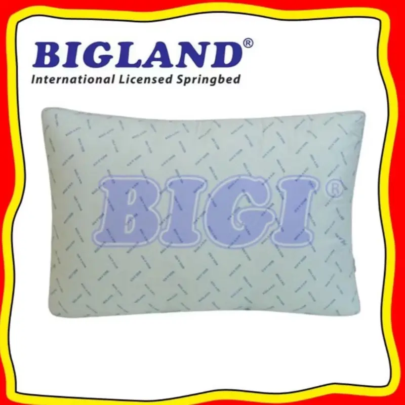 ￼Bantal Kepala Silicon by Bigland