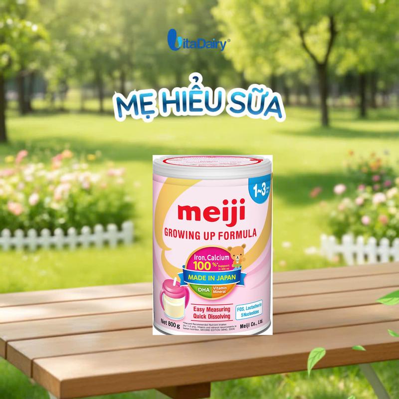 Sữa Dinh Dưỡng Bổ Sung Dưỡng Chất Cho Trẻ L800g Meiji