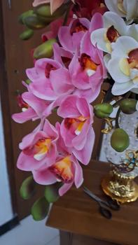 Product Review of Anggrek cymbidium artificial latek/Cimbidium Latek premium/1pcs Dekorasi Dekorasi from T**y 1