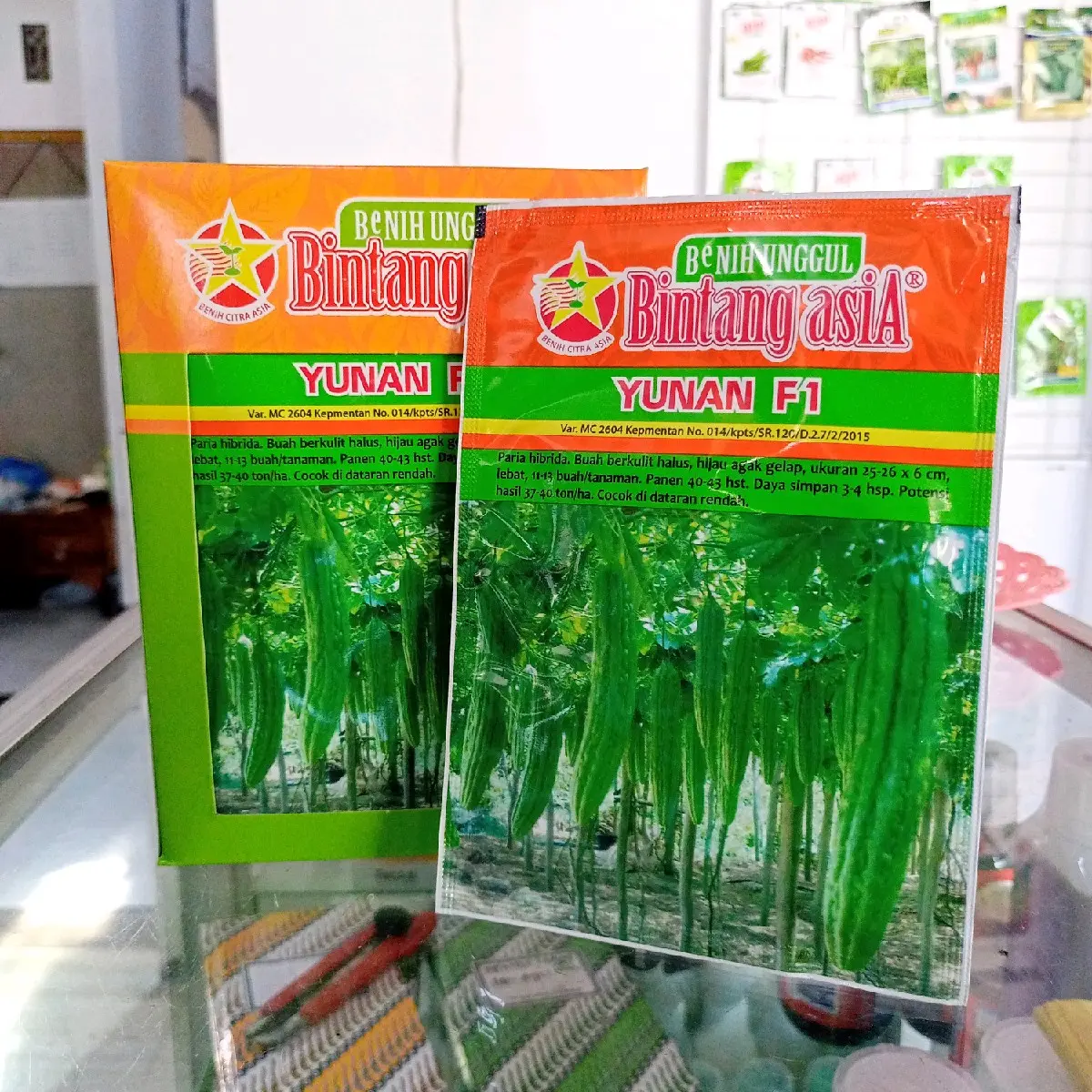 Benih Paria Pare Yunan F1 10 gram 50-65 butir Expayed 2025 (Terbaru) /Termurah Seindonesia/Perawatan mudah/Berbobot, Buah Lebat, Disukai Pasar/Tahan Simpan/100% Ori Kemasan Pabrik Asli Berkualitas Bergaransi 100% Daya Tumbuh 99,99%