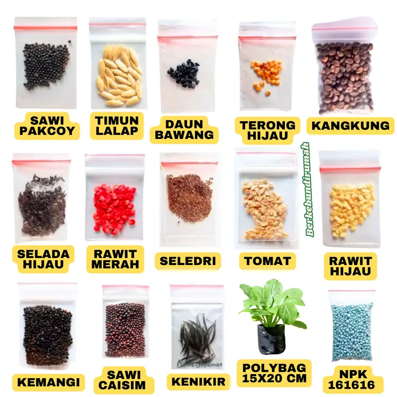 Paket Hemat 13 Macam Benih Sayuran Isi Terbanyak - Benih Sayuran Sawi Benih Bayam Bibit Berkebun Kangkung Kemangi Pakcoy Putih Selada Merah Seledri Terong Hijau Timun Tomat