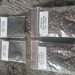 Bibit Sayuran Unggul Termurah Berkualitas Super Benih Tanaman Sayur Hidroponik Murah Seribuan Kangkung Sawi Selada Cabe Rawit Terong Tomat Bayam Timun Bawang dll