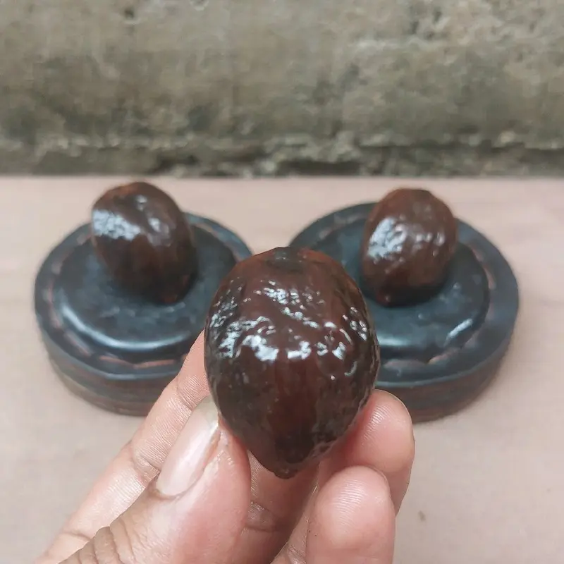 Muncang JAYANTI anak si pait asli ( mentah ) 1