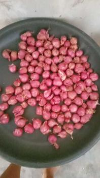 Product Review of Bawang Merah Asli Probolinggo 1Kg Ukuran Tanggung Kasar Rasa Khas Daerah from A**l 1