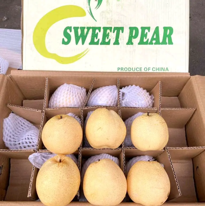 Buah Sweet Pear 1kg - Segar dan Berkualitas -Makanan, Zuriat