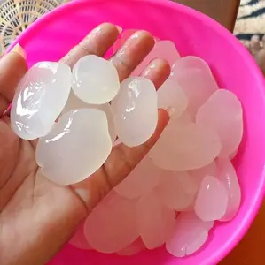 1kg Kolang Kaling Super Premium Cocok untuk Manisan Es Buah Campur Takjil Siap Kirim Secepatnya