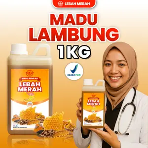(PROMO ISI 1KG) Madu Lambung Maag Gerd Herbal Asam Lambung Obat Magh Kronis Anxiety Perut Kembung Mual Lebah Merah