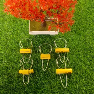 Sawangan Merpati Nyaring Hotang Pluit Hontang Burung Dara Terbaik