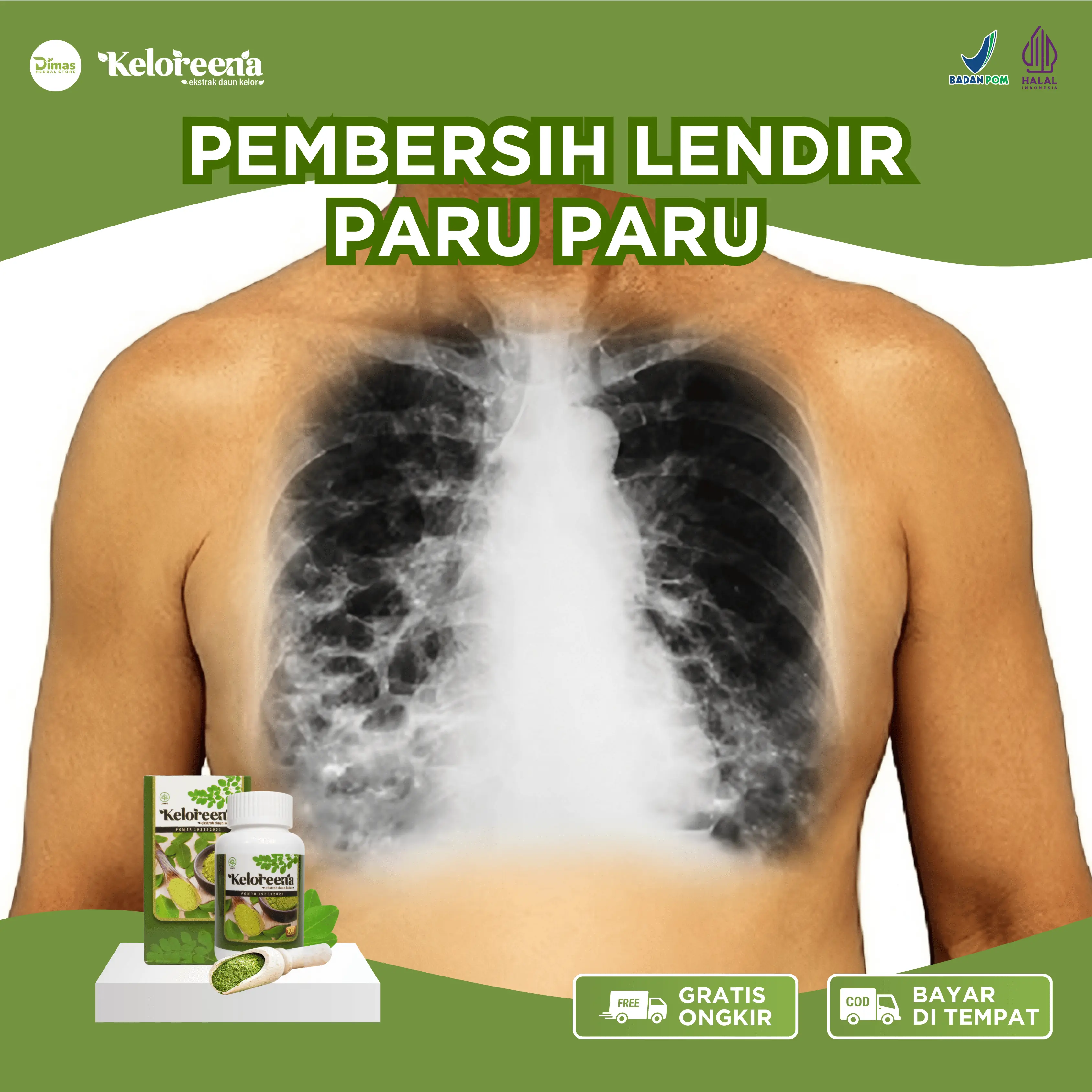 Keloreena - Flek Paru TBC, Pembersih Lendir Paru, Batuk, Sesak Nafas, Infeksi Paru, Paru Paru Ada Cairan, Kotor, Paru Paru Basahan, Gurah Lendir Paru Paru Alami 100%
