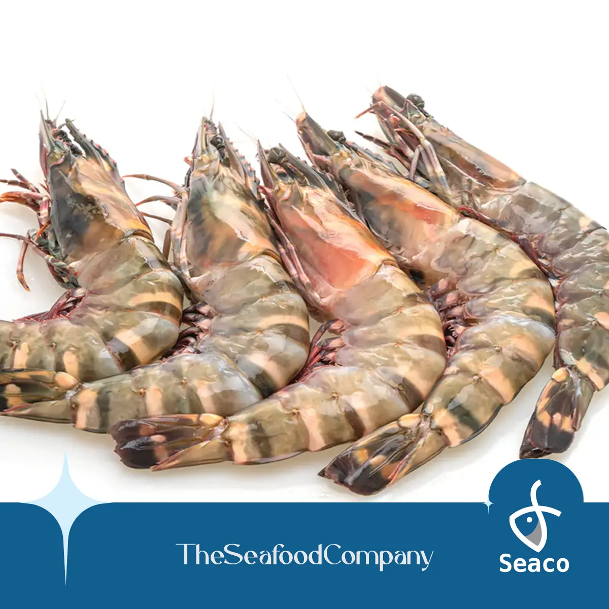 [SEACO] Tiger Prawn HOSO 8-10 (1kg)
