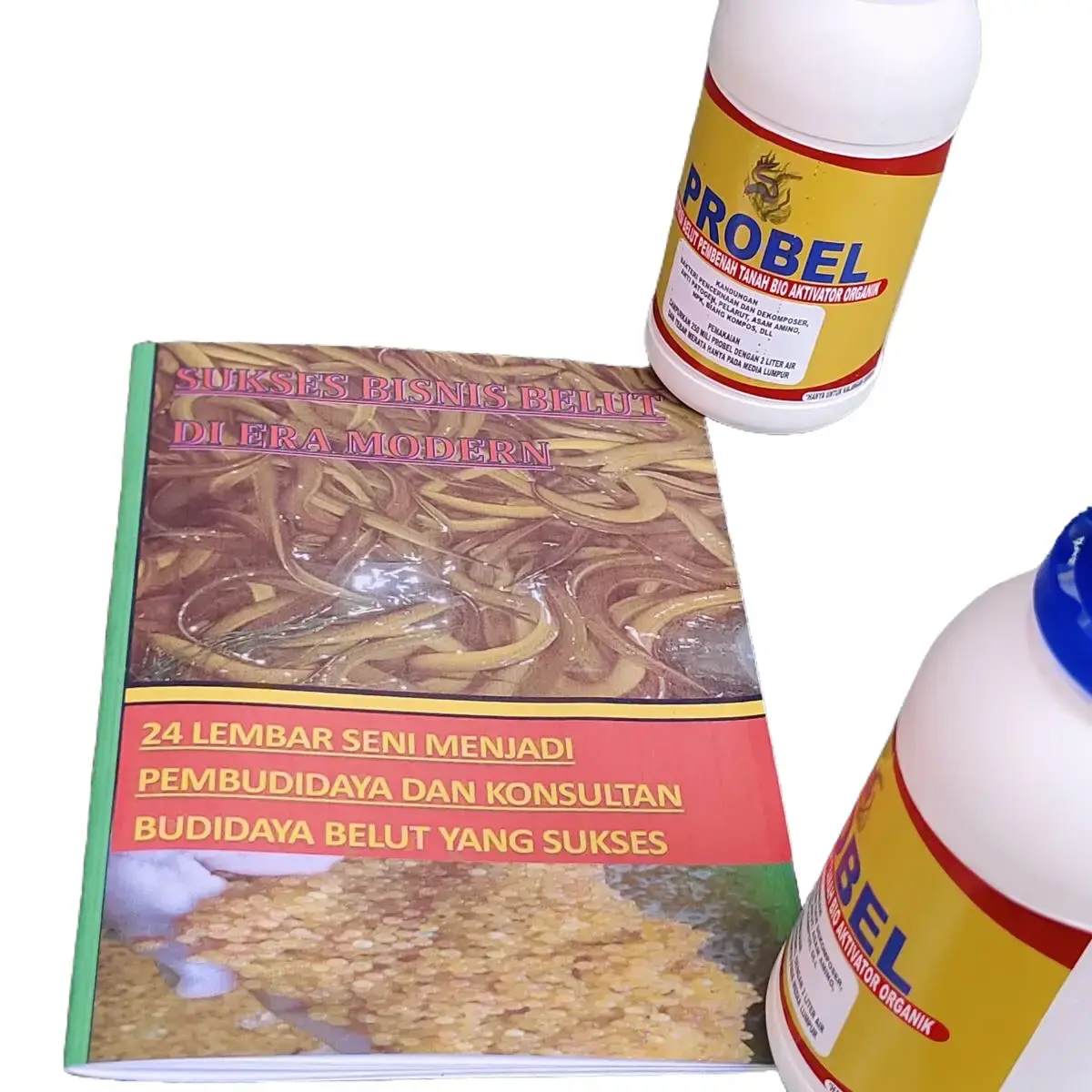 RAMUAN & PANDUAN SUKSES BUDIDAYA BELUT