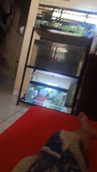Product Review of KODE TINA Daster Gamis Oneset Longdress Sale By Anna Al Abdullah….. from d**4 1
