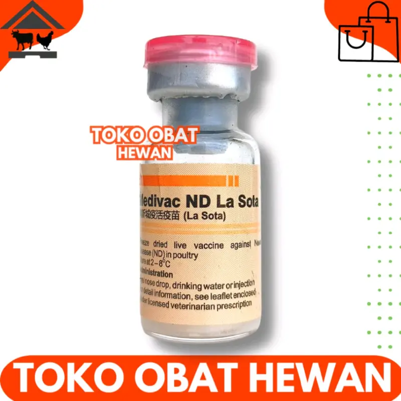 Vaksin Medivac ND Lasota Dosis 50 Ekor Vaksin Lanjutan Mencegah Tetelo dan Aratan Untuk Ayam Kecil Hingga Dewasa Pluss Anti Stress 1