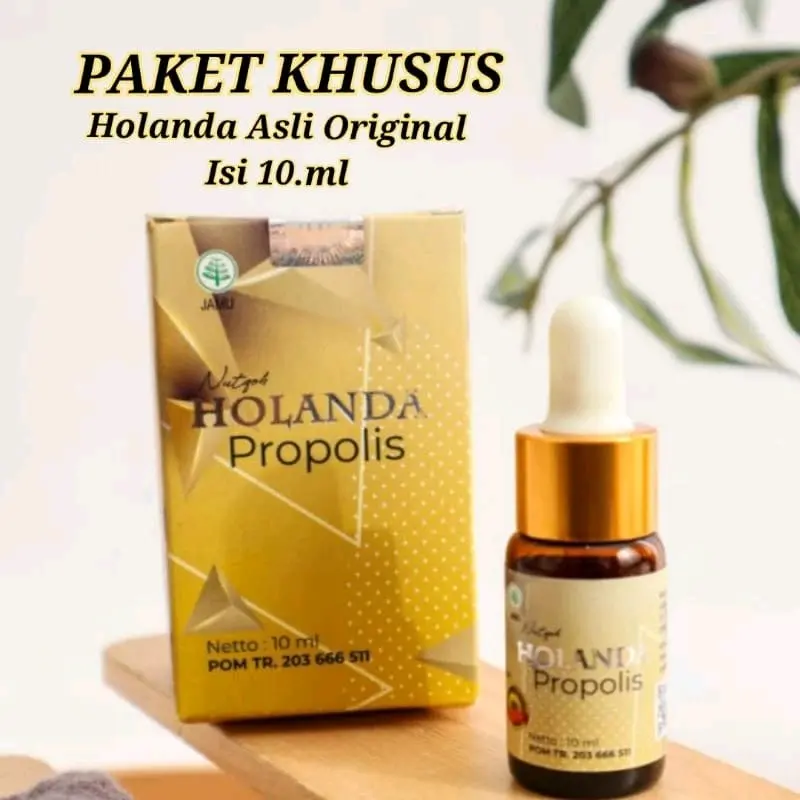 Holanda Propolis Asli Original