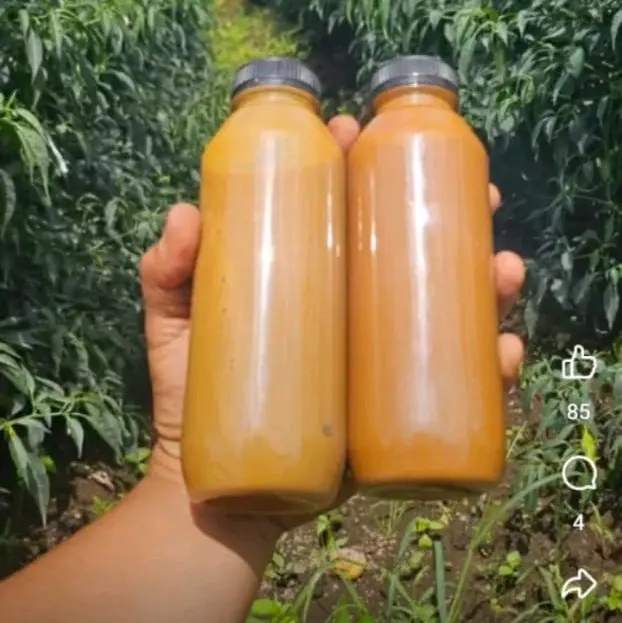 Pasmo dan pektor nutrisi tanaman Kalium