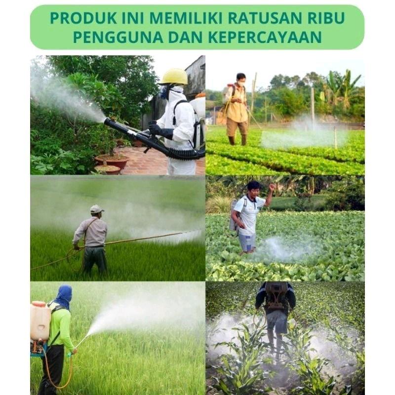 TERLARIS BELI 1 GRATIS 1 BOTOL Kill Grass Panda  SERBUK Raja Pembunuh Hama Gulma | Membasmi Lebih Dari 100 Jenis Hama dan Gulma Membandel 1