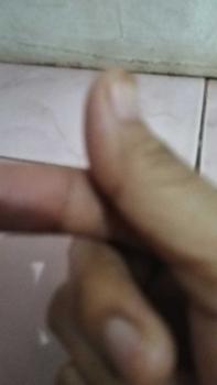 Product Review of Dudukan Cobek / Rak Cobek Tempat Penyimpanan Cobek dan Ulekan Simpel dan elegan bahan Besi from A**l 0