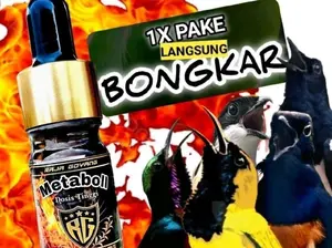 METABOLIS METABOLL RAJA GOYANG DOSIS TINGGI / VITAMIN RG / PENGGACOR BURUNG KICAU SOGON,PLECI,KOLIBRI,CENDET,DLL - VIRAL - Official Store