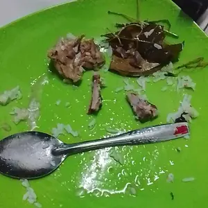 PIRING MAKAN PLASTIK PAKET 6 PCS "DRAGON 88"+Bonus centong nasi,Bahan baku Plastik PP5,Dimensi 24 CM,Varian warna-Kitchenware