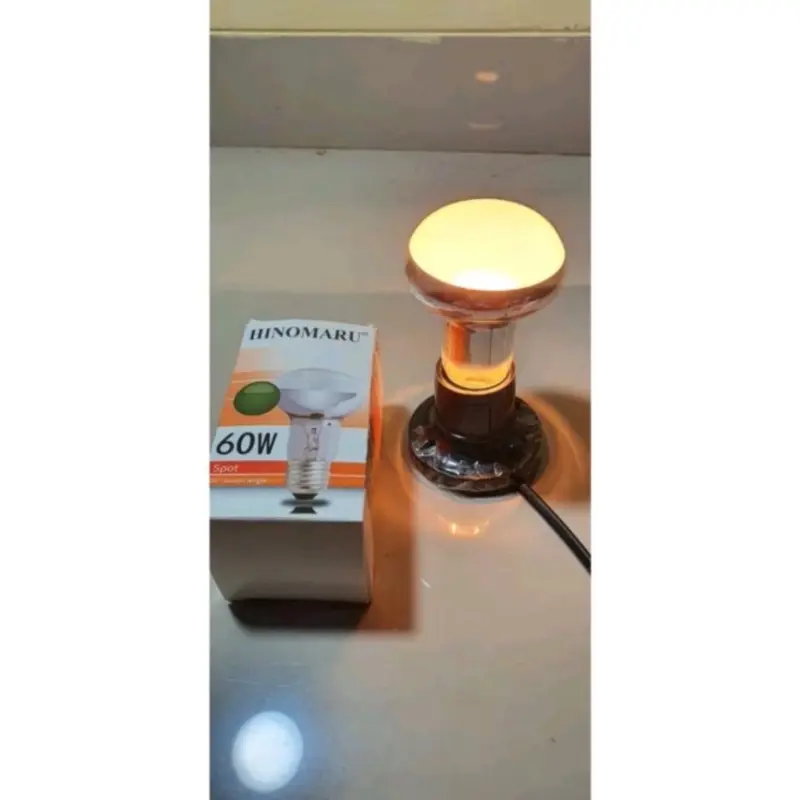 Lampu Ayam Chicken Spot Hinomaru 60 Watt 40 Watt 25 Watt 0