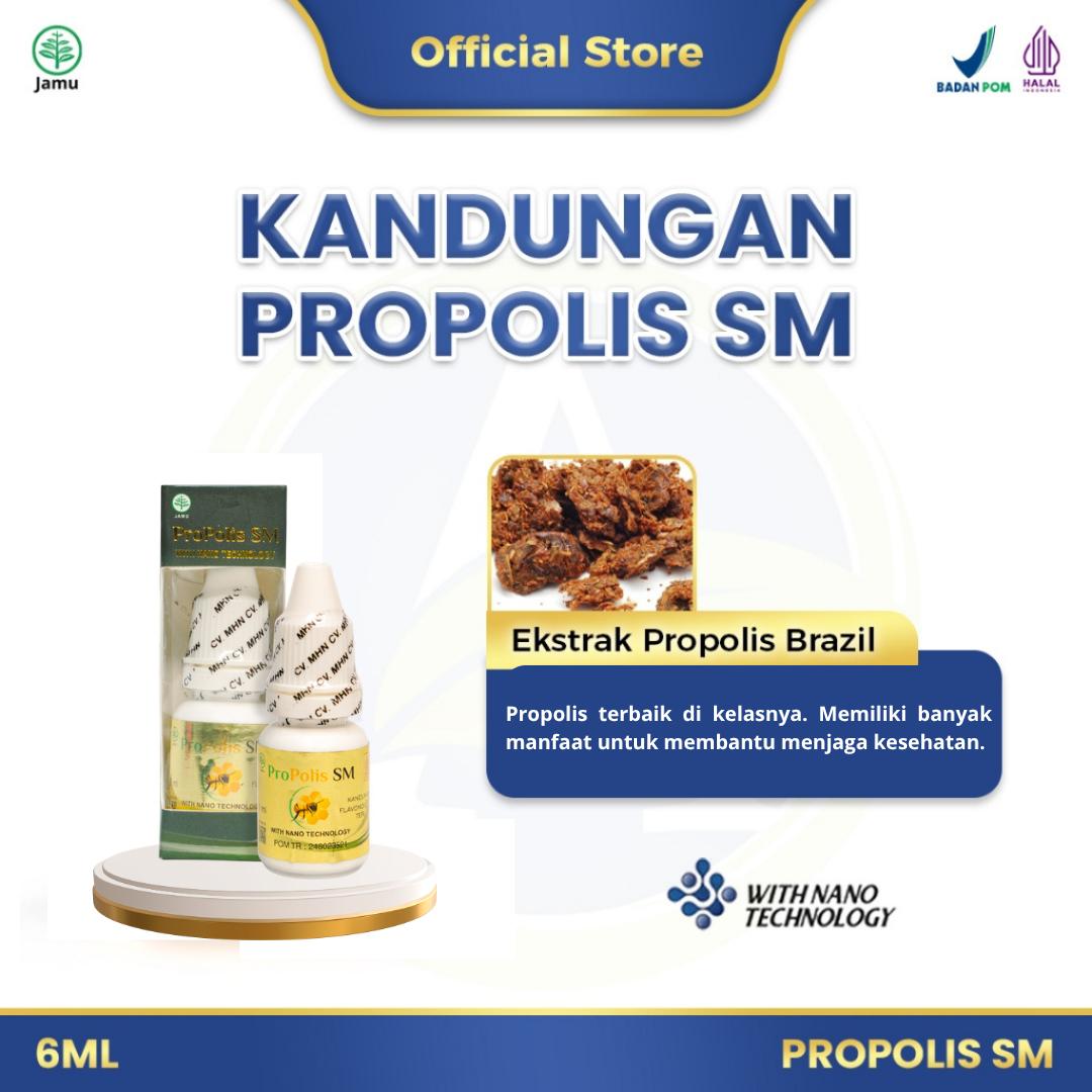 Propolis SM, Herbal Propolis Brazil Asli