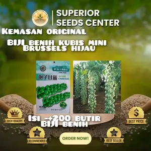 kemasan original (250 butir) biji benih tanaman kubis mini Brussell F1