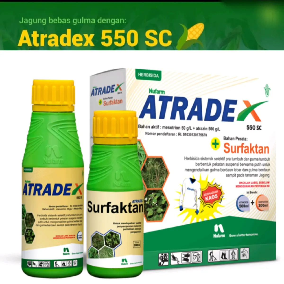 Atradex 550 SC Adalah Herbisida selektif pra dan purna tumbuh untuk mengendalikan gulma pada tanaman jagung tanpa merusak tanaman utama, KEUNGGULAN PRODUK: Tangguh, Mengendalikan gulma utama pada tanaman jagung