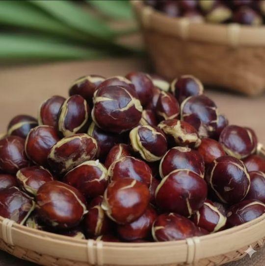 JENGKOL TUA PULEN & LEGIT KEMASAN 1KG/JENGKOL SEPI/JENGKOL SEGAR/JENGKOL MENTAH/JENGKOL RENDANG/PROMO JENGKOL MURAH/ Kecombrang JENGKOL TUA PULEN & LEGIT KEMASAN 1KG/JENGKOL SEPI/JENGKOL SEGAR/JENGKOL MENTAH/JENGKOL RENDANG/PROMO JENGKOL MURAH/ Kecombrang