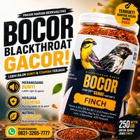 Gambar Makanan Burung CAROLL BOCOR Blackthroat Sanger Mozambik Sehat Gacor dari Seputar Burung Indonesia Kab. Sukoharjo 5 Tokopedia