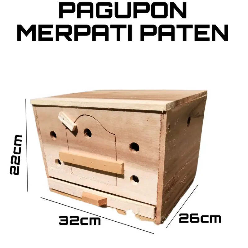 Gupon merpati paten kayu pilihan 0