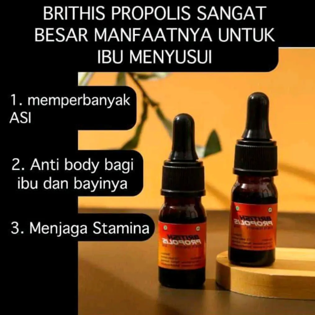 Suplemen Propolis Inggris BPOM dan Halal untuk Meningkatkan Imunitas Dewasa