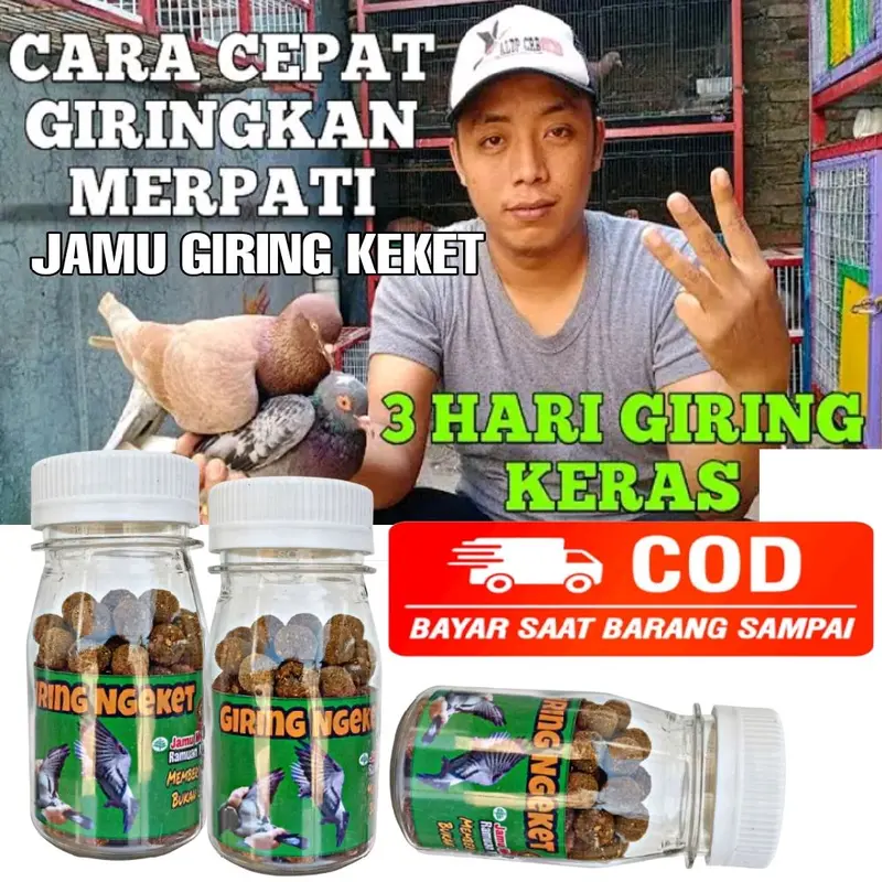 Jamu Merpati Giring Keket Keras Paling Ampuh dalam 2 hari pil edan pil alus extra ginseng teki plus 1
