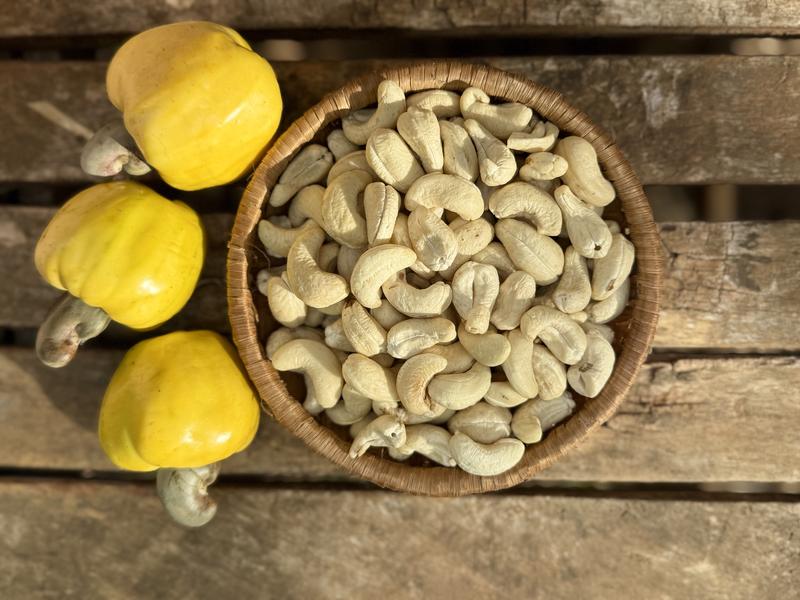 HẠT ĐIỀU TƯƠI NẤU SỮA HẠT - HANA BAN MÊ