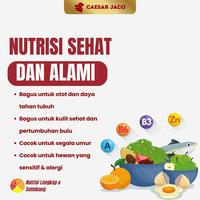 Gambar Makanan Anjing Natural Holistic 9.8kg Small Bite dari Caesar JacO Kota Administrasi Jakarta Barat 3 Tokopedia