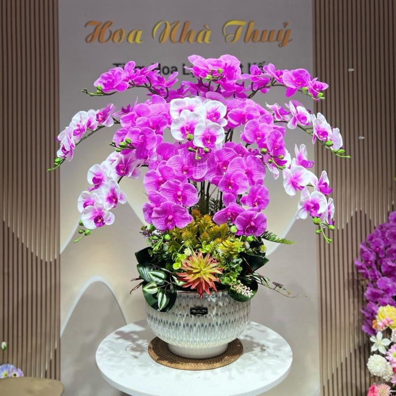  Chậu Hoa lan hồ điệp cắm 1 mặt hoa- 12 cành cao su cánh ướt Chậu sứ nhập - hỗ trợ cắm Decor Decor Phòng Trang Trí Nhà Trang Trí Hoa giả trang trí 