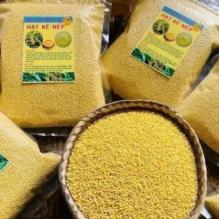  Hạt kê nếp vàng Nghệ An 1 kg - Dinh dưỡng 