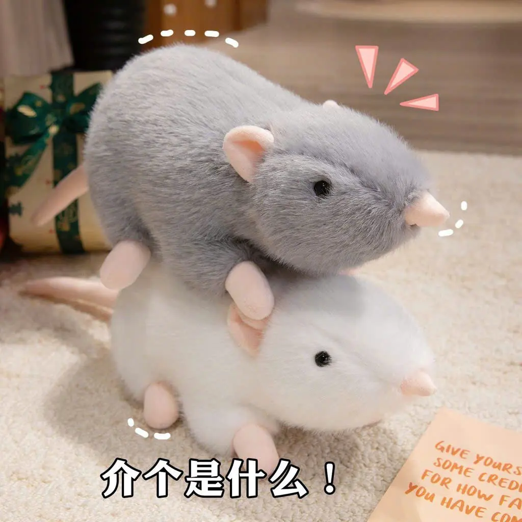 chuột