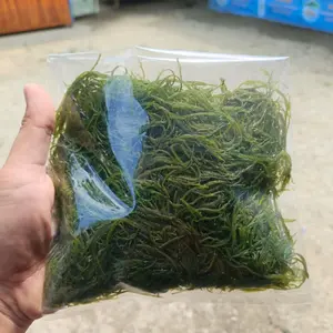 satu paket rumput laut 250 gram