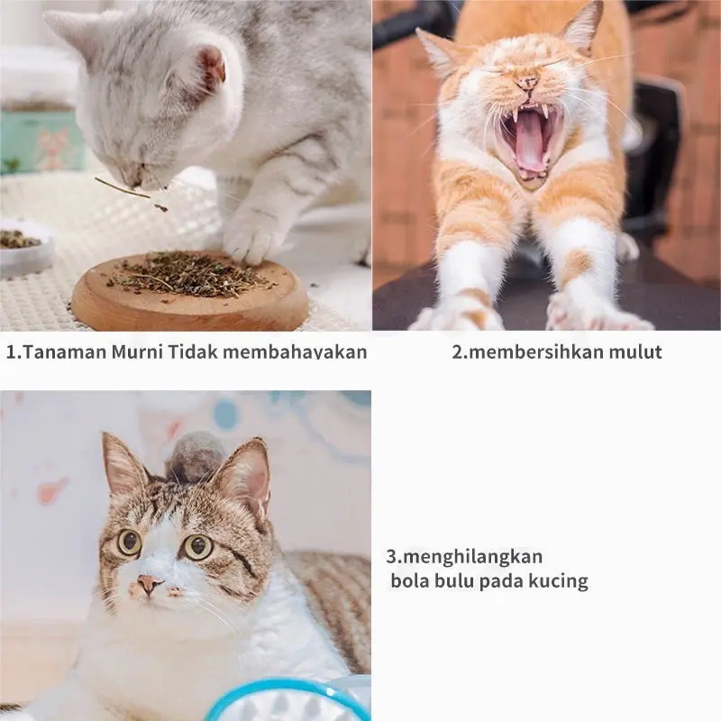 FOLOPETS Mainan Kucing Obat Catmint Penenang Serbuk Rumput Kering Cat nip Mint Stres Murah 4