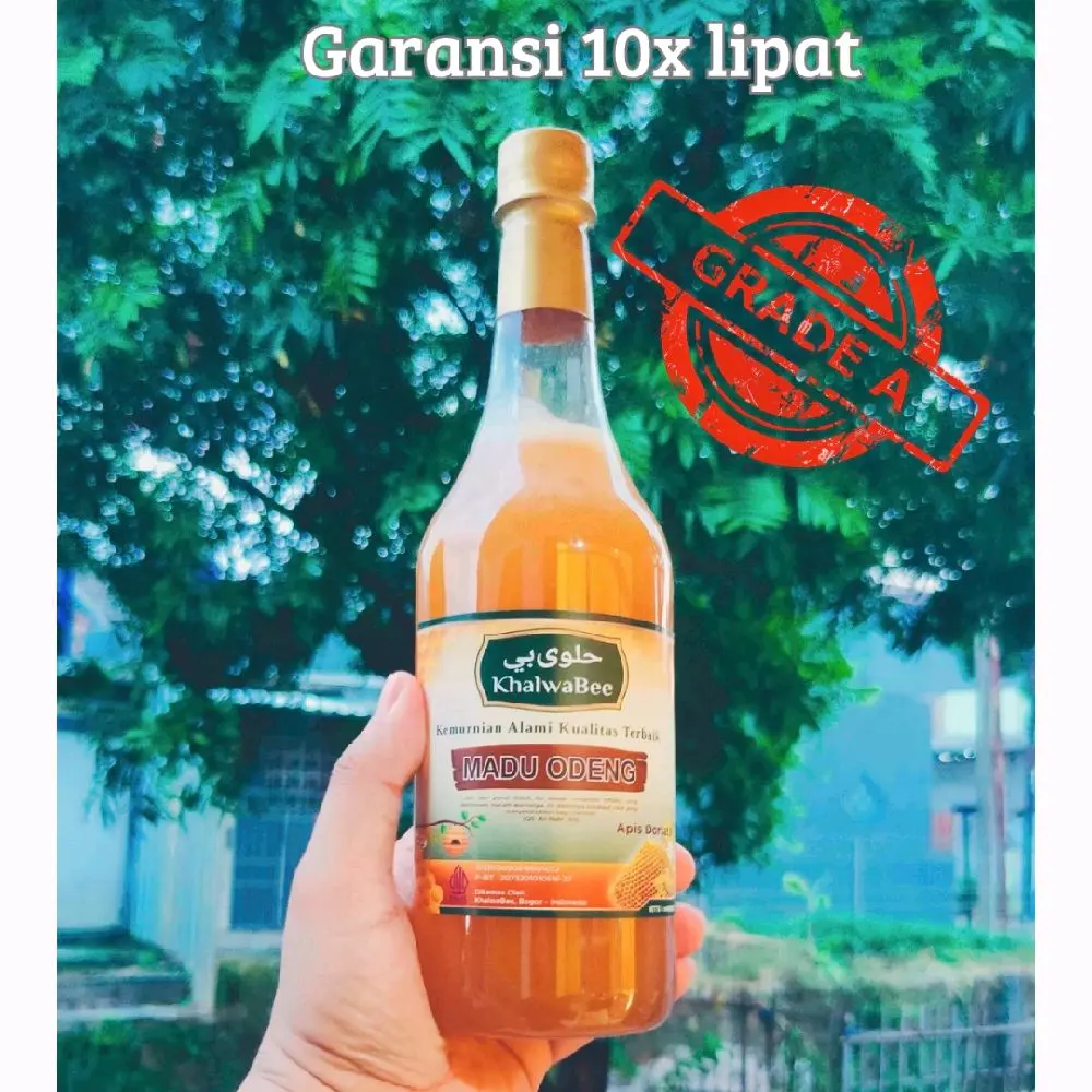MADU ODENG (MADU HUTAN JAWA BARAT) GRADE A