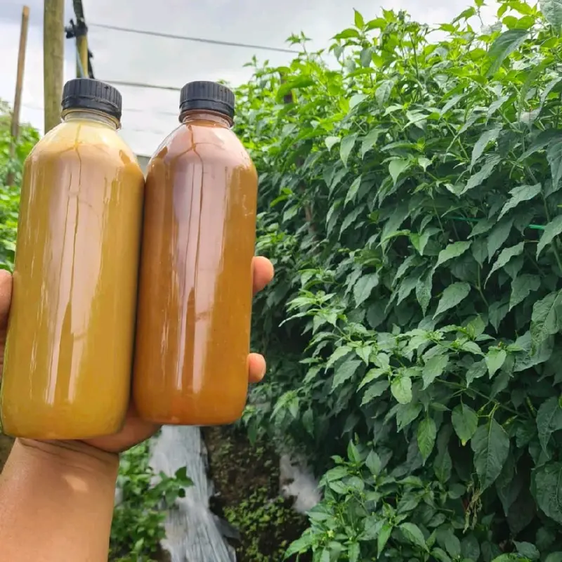 Pasmo Pektor, solusi cerdas untuk petani sukses! 2